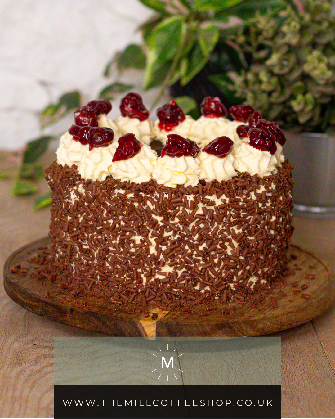 Black Forest Gateau